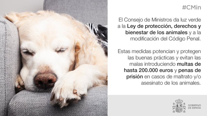 Ley de Bienestar Animal Gobierno de España