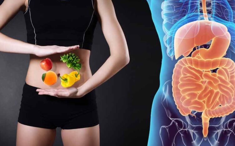  Un intestino saludable equivale a una vida saludable