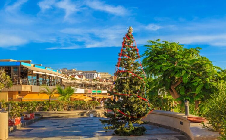  Estos son los mejores planes para hacer estas Navidades en Tenerife