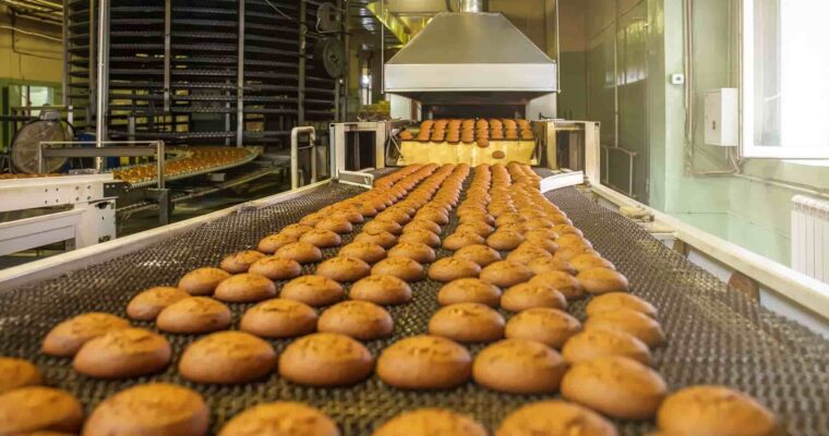 SEGUROS PARA LA INDUSTRIA DE LA  ALIMENTACION Y ALIMENTARIA