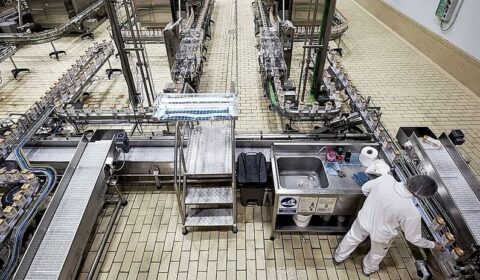 SEGUROS PARA LAS EMPRESAS  DE   ALIMENTACION