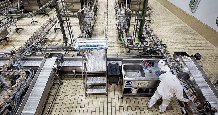 SEGUROS PARA LAS EMPRESAS  DE   ALIMENTACION