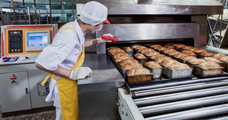 SEGUROS PARA EL SECTOR DE LA  ALIMENTACION