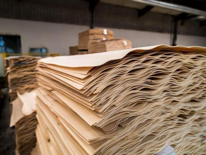 SEGUROS PARA FABRICAS DE TABLEROS CONTRACHAPADOS